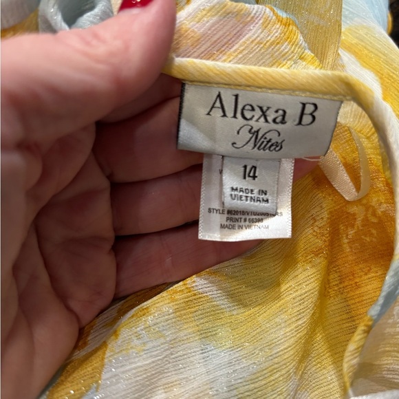 Alexa B Floral Blue and Yellow Maxi Dress Size 14 - Picture 4 of 5